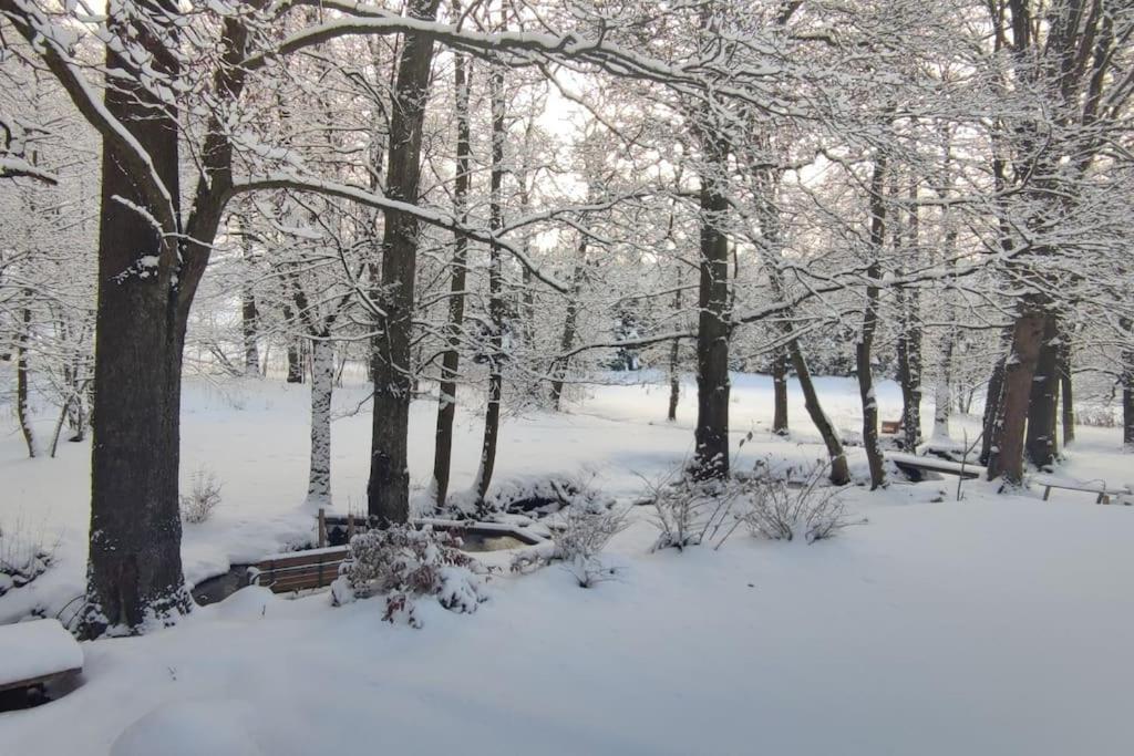 Chatky U Potoka Chatka N3 Olesnice v Orlickych horach Exterior photo